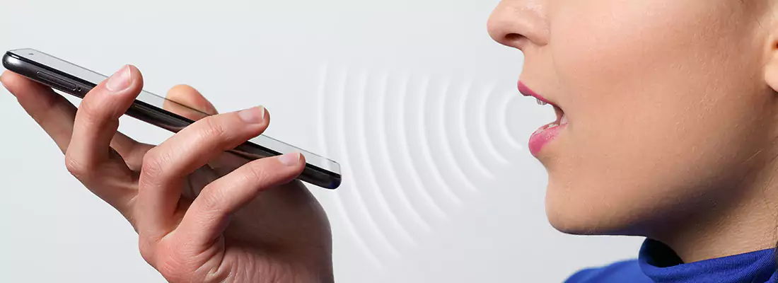 Residential and Commercial Voice Recognition Access Solutions in Sarasota Springs, FL