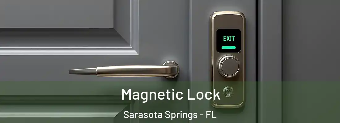 Magnetic Lock Sarasota Springs - FL